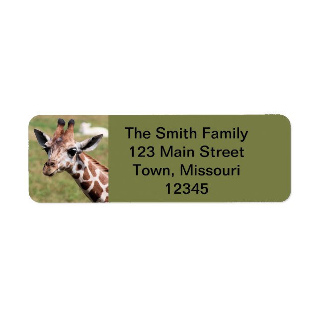 Safari in Des Moines (Front)