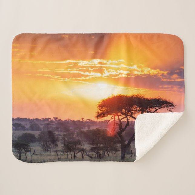 Safari in the Serengeti National Park Sherpa Blanket (Front (Horizontal))
