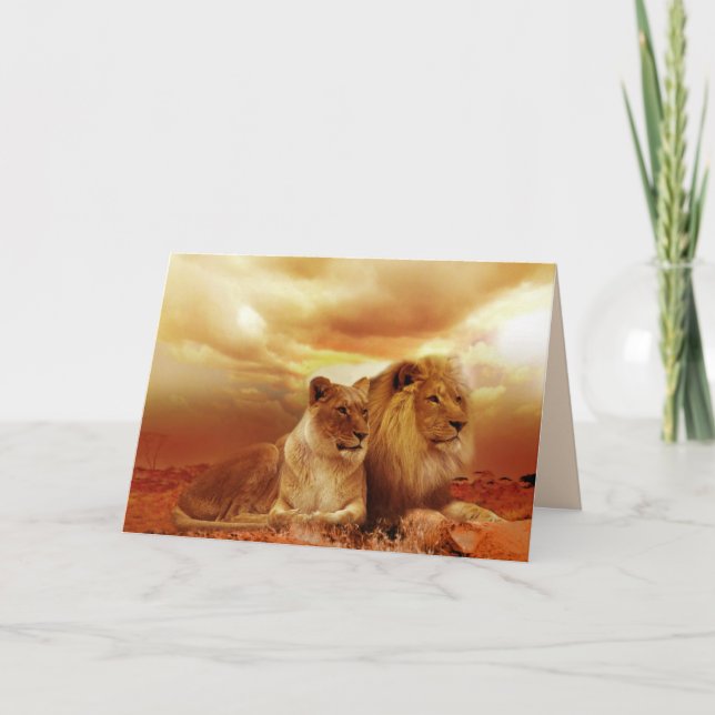 safari lions greeting card (Front)