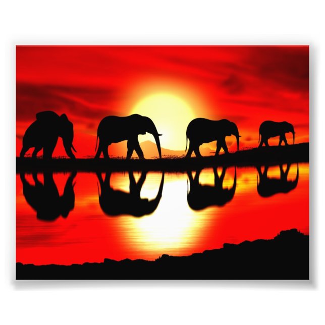 safari photo print (Front)