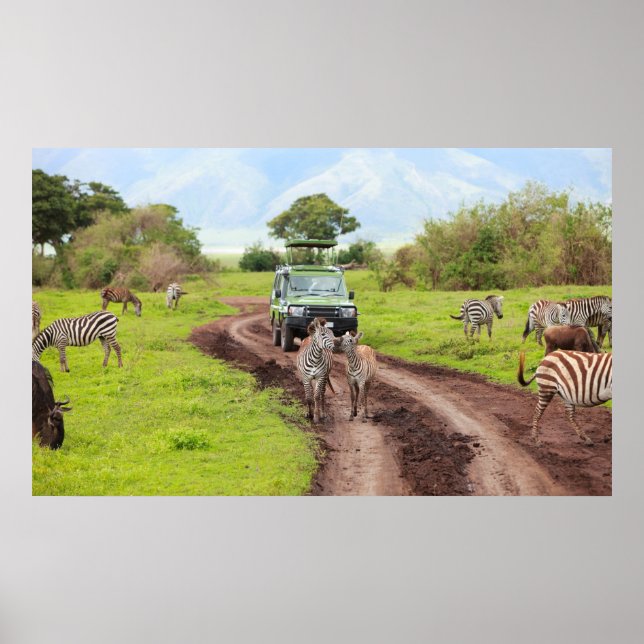 Safari Poster (Front)