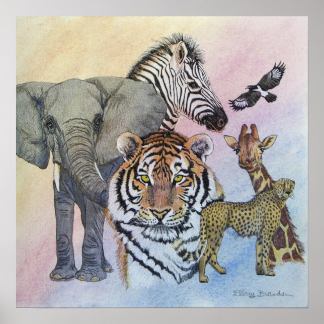 Safari Sampler Poster (Front)