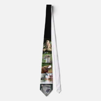 Safari Tie