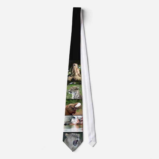 Safari Tie (Front)