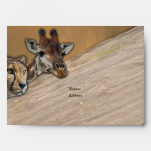 Safari wildlife Envelopes