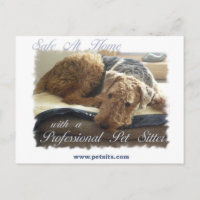Safe At Home with a Professional Pet Sitter