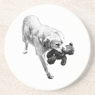 Safe Delivery Coaster