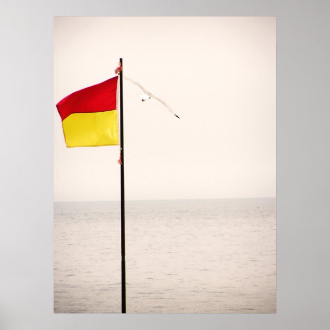 Safe Flight Poster (Front)