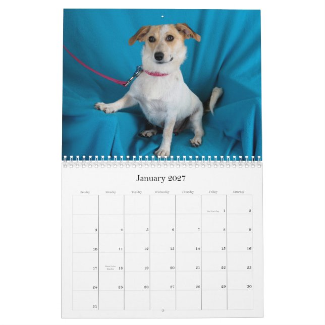 Safe Hands 2015 Calendar (Jan 2027)