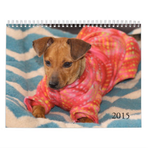 Safe Hands 2015 Calendar