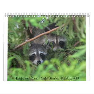 Safe Harbour Wildlife Calendar