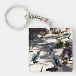 Safe Haven: Fairy Penguin Paradise, Keychain