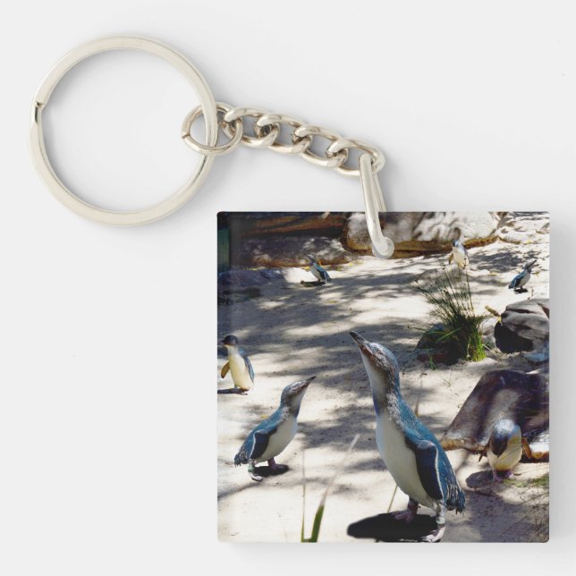 Safe Haven: Fairy Penguin Paradise, Keychain (Front)