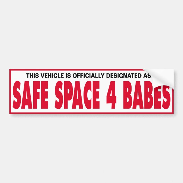 SAFE SPACE 4 BABES BUMPER STICKER (Front)