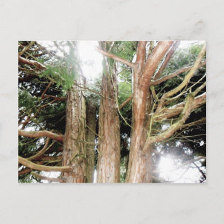 safety found postcard