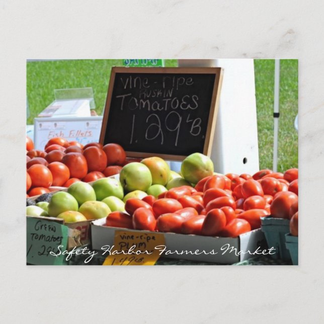 Safety Harbour Farmers Market Postcard (Front)
