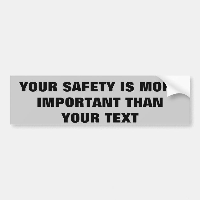 SAFETY IS MORE IMPORTANT THAN TEXTING BUMPER STICKER (Front)