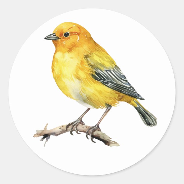  Saffron Finch Bird Stickers (Front)