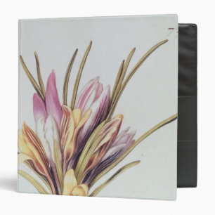 Saffron or Crocus, from 'La Guirlande de Julie' Binder