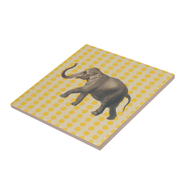 Saffron Spice Moods Dots with Elephant Tile (Side)