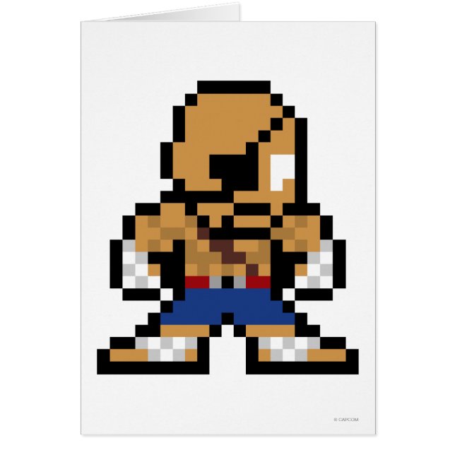 Sagat à 8 bits (Devant)