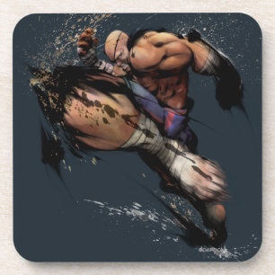 Sagat Knee Coaster