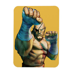 Sagat Ready to Block Magnet