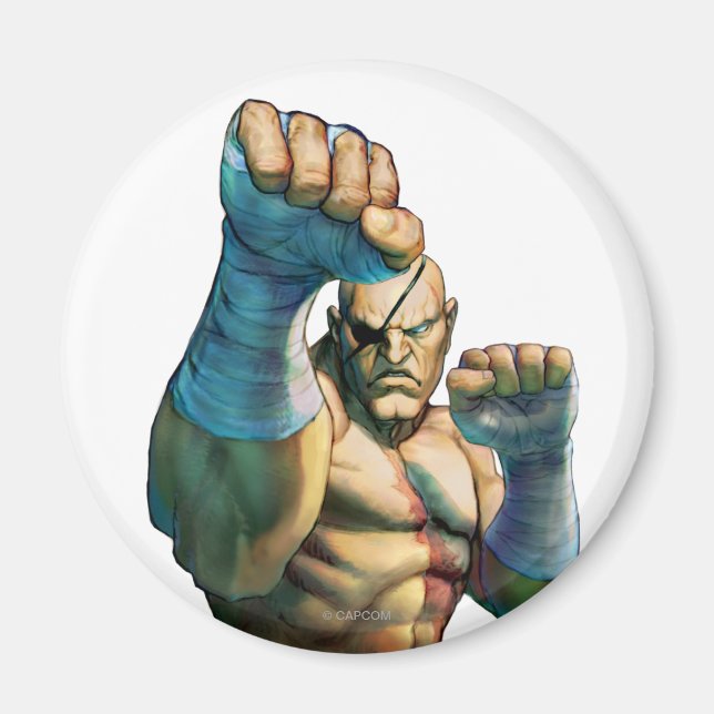 Sagat Ready to Block Magnet (Front)