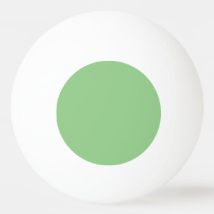 Sage #93CC8A, Clay Ash Ping Pong Paddle Ball