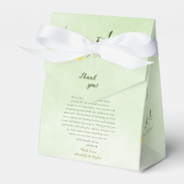  Sage Baby Boy Bliss: Stork Special Delivery Baby  Favor Box (Front Side)