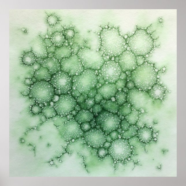 Sage Fenestrated Lichen Abstract - Organic Modern Poster (Front)