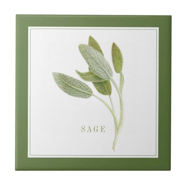 SAGE FRAIS 4.25x4.25 Carreaux en céramique (+texte (Devant)