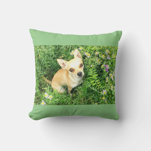 Sage green chihuahua throw pillow. throw pillow (Front)