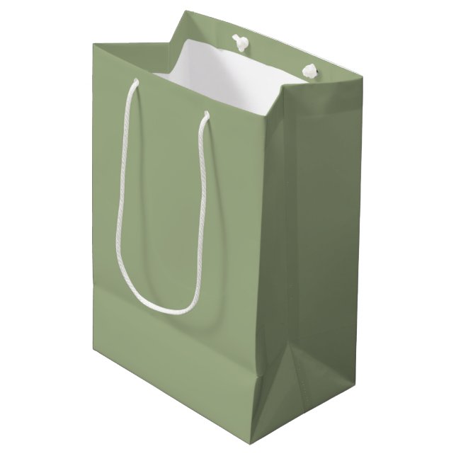 Sage Green Plain Solid Colour  Medium Gift Bag (Front Angled)