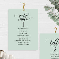 Sage Green Seating Plan Cards with Guest Names 