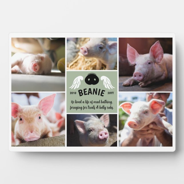 Sage Green Wings Pig Snout Memorial Photo Collage Plaque (Front)