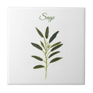 Sage Herb Greenery Kitchen Culinary Green Rustic C Tile