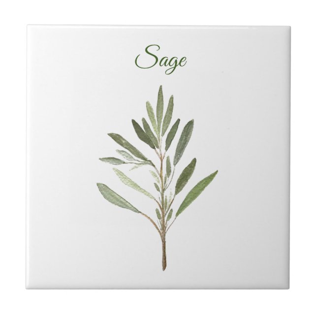 Sage Herb Greenery Kitchen Culinary Green Rustic C Tile (Front)
