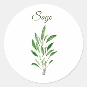 Sage Herbs Watercolor Kitchen Green Rustic Classic Round Sticker