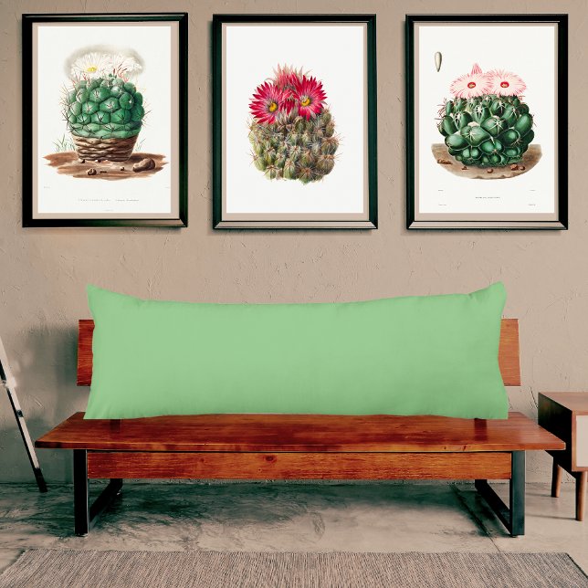 Sage Vert clair muet coussin couleur solide (Créateur téléchargé)