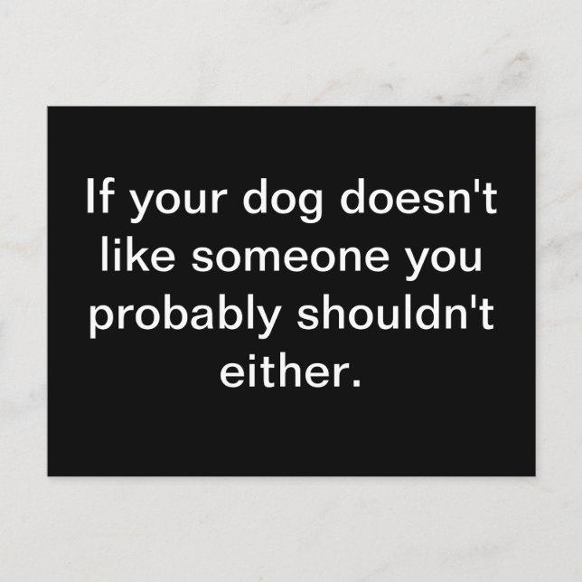 Sagesse Canine - Carte postale (Devant)