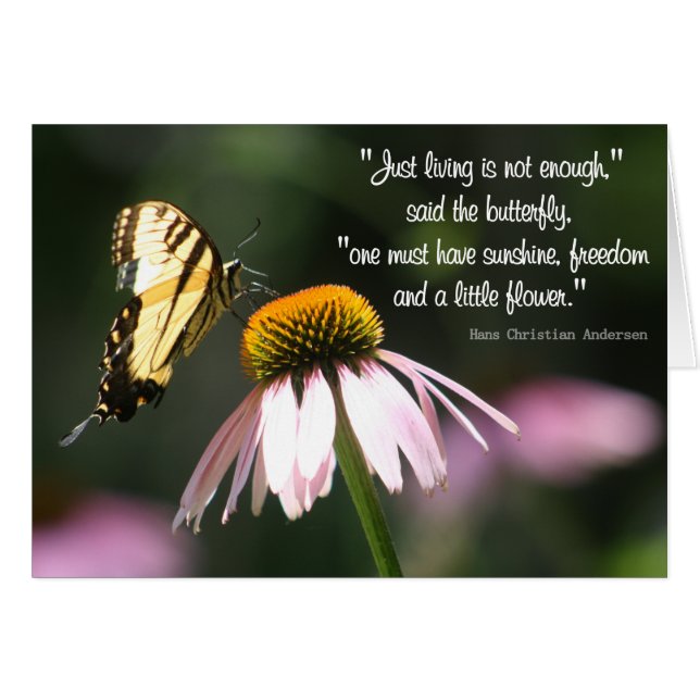 Sagesse Papillon : Soleil, Liberté, Fleur. (Devant horizontal)