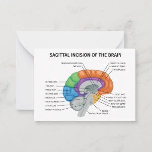Sagittal Incision of the brain Card