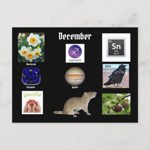 Sagittarius Décembre Mois de naissance CARTE POSTA