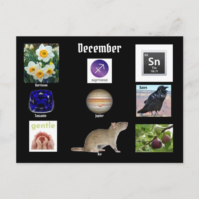Sagittarius Décembre Mois de naissance CARTE POSTA (Devant)