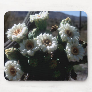 Saguaro Blossoms Mousepad