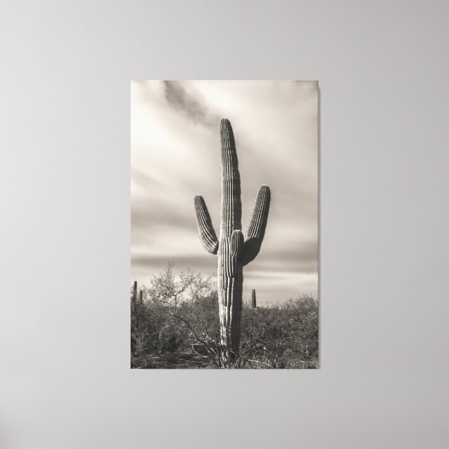 Saguaro bw canvas print (Front)