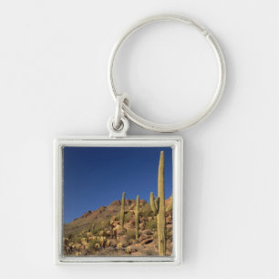 Saguaro cacti and Tucson Mountains, Tucson Keychain
