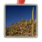 Saguaro cacti and Tucson Mountains, Tucson