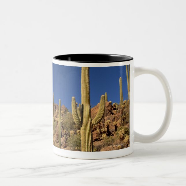 Saguaro cacti and Tucson Mountains, Tucson Two-Tone Coffee Mug (Right)